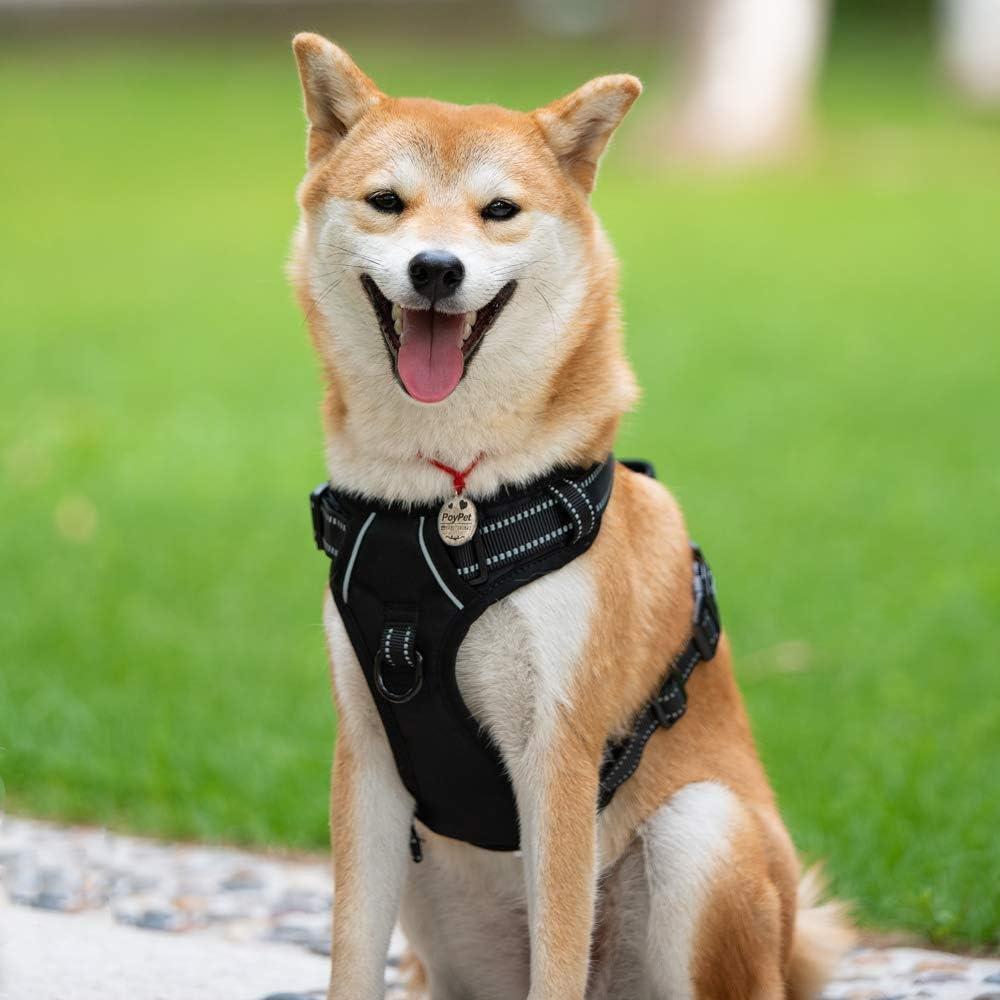 Arnés para Perros PoyPet XS Negro Reflectante y Cómodo