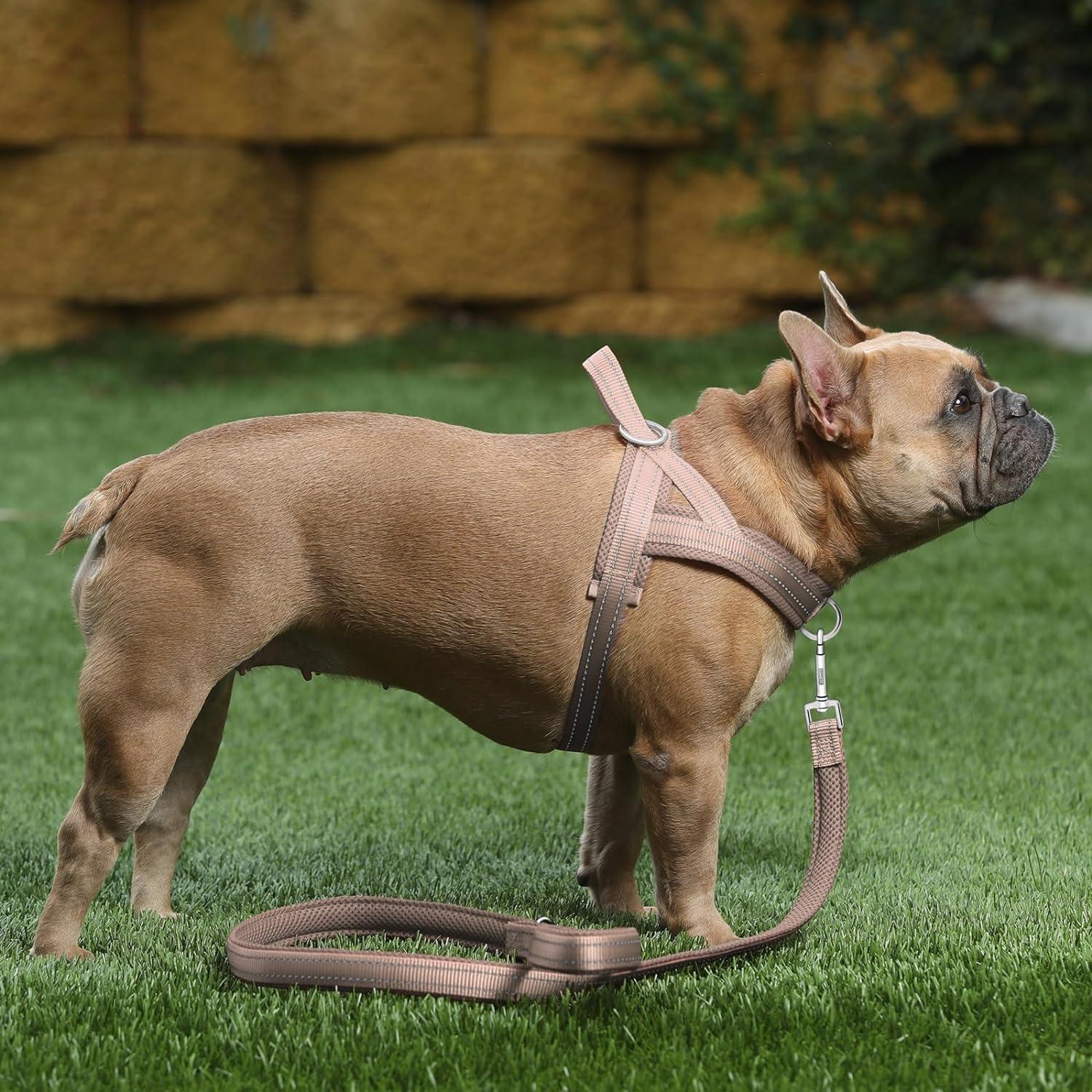 Arnés para Perros Plutus Pet Ajustable Reflectante Malla Transpirable