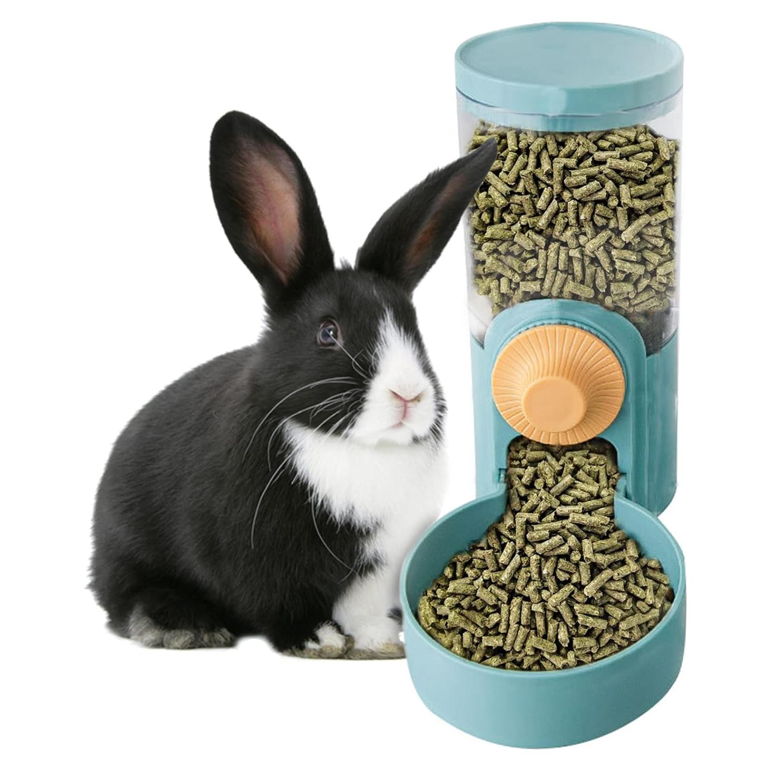 Dispensador automático de comida y agua Kathson 35oz para mascotas