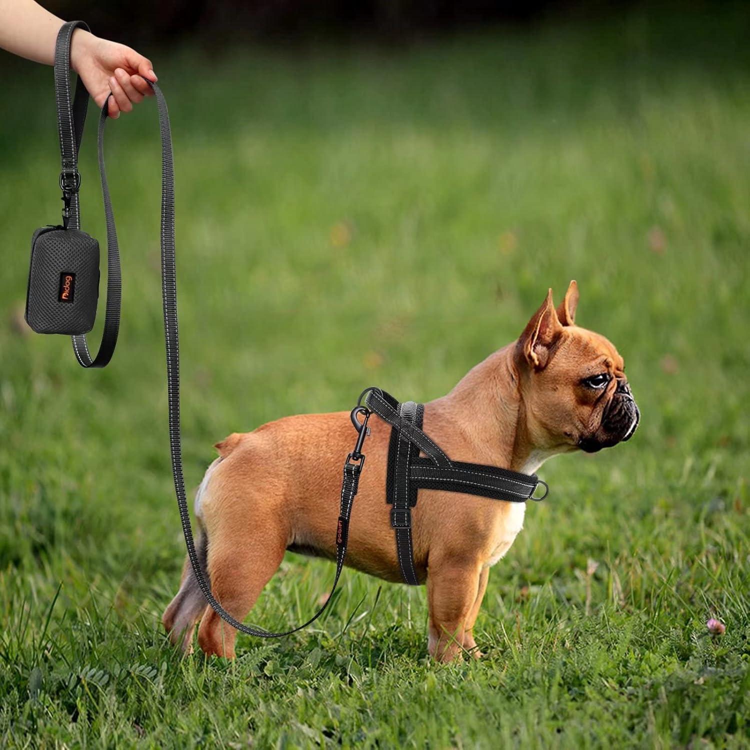 Correa Reflectante Didog de Nylon 1.8m con Dispensador para Perros