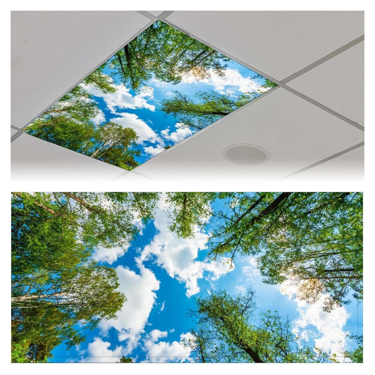 Filtros de Luz Fluorescente Magnéticos RoseFace 2 Piezas 121.9x61cm