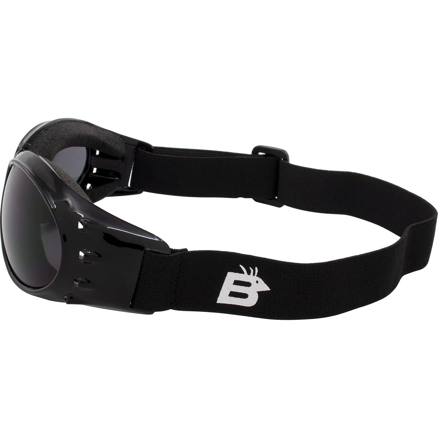 Gafas de Motocicleta Acolchadas Birdz Eyewear Eagle - 3 Lentes