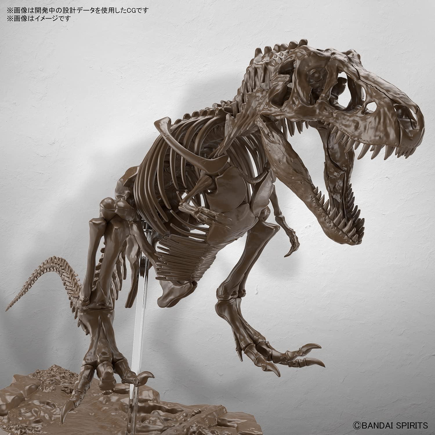 Modelo de Esqueleto Tyrannosaurus 1/32 Bandai Spirits