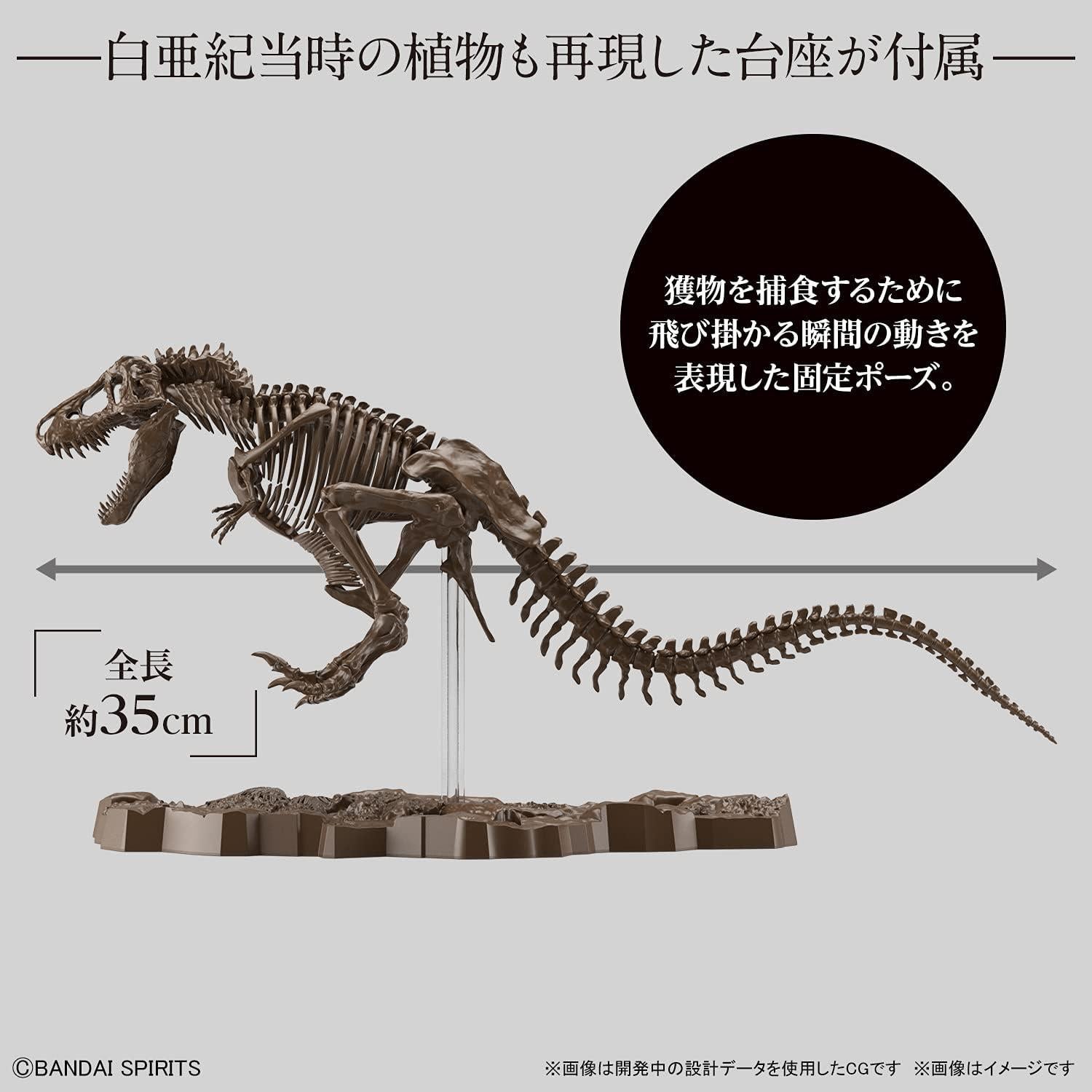 Modelo de Esqueleto Tyrannosaurus 1/32 Bandai Spirits