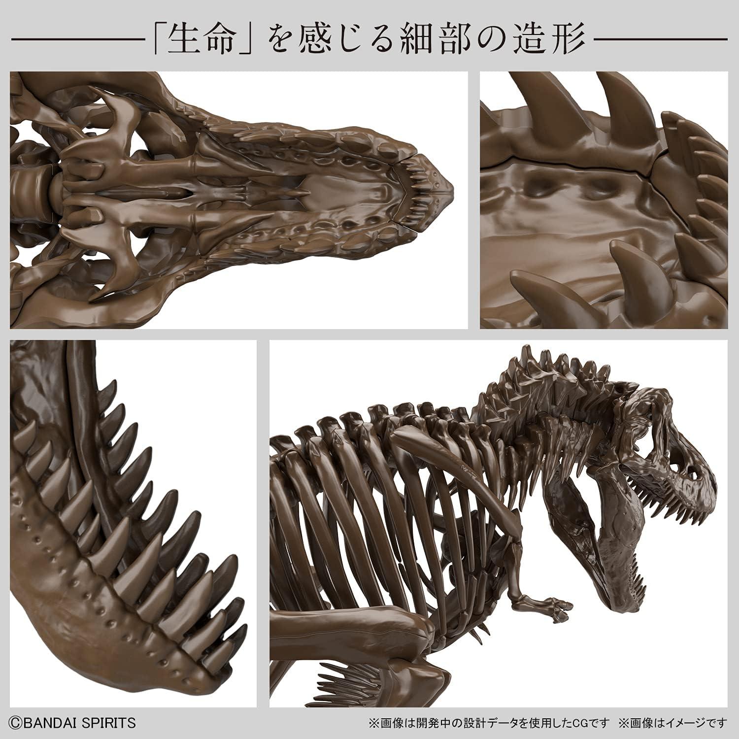 Modelo de Esqueleto Tyrannosaurus 1/32 Bandai Spirits