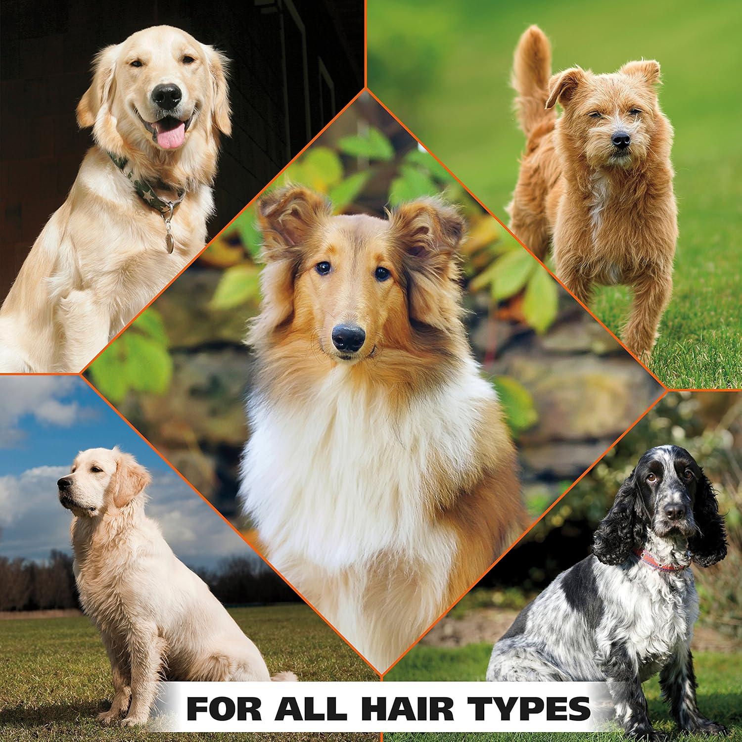 Toallitas de Limpieza Wahl para Perros - 50 Unidades - Fórmula Natural