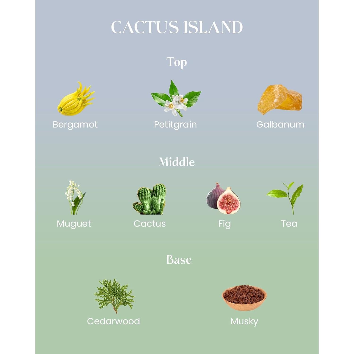 Vela Aromática M&SENSE Bergamota 300g Cera Soja Natural