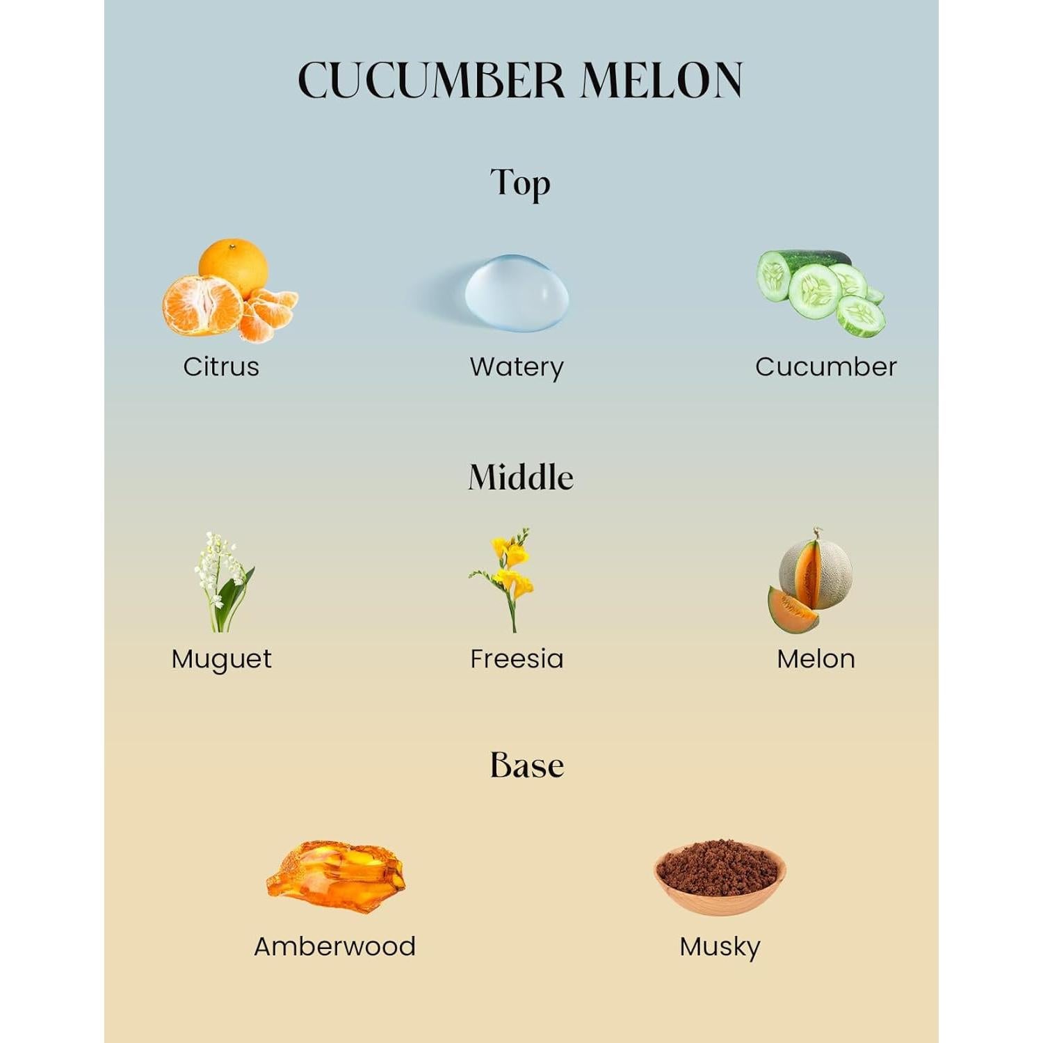 Vela Aromática M&SENSE Melón y Pepino 300g Cera Soja 60h