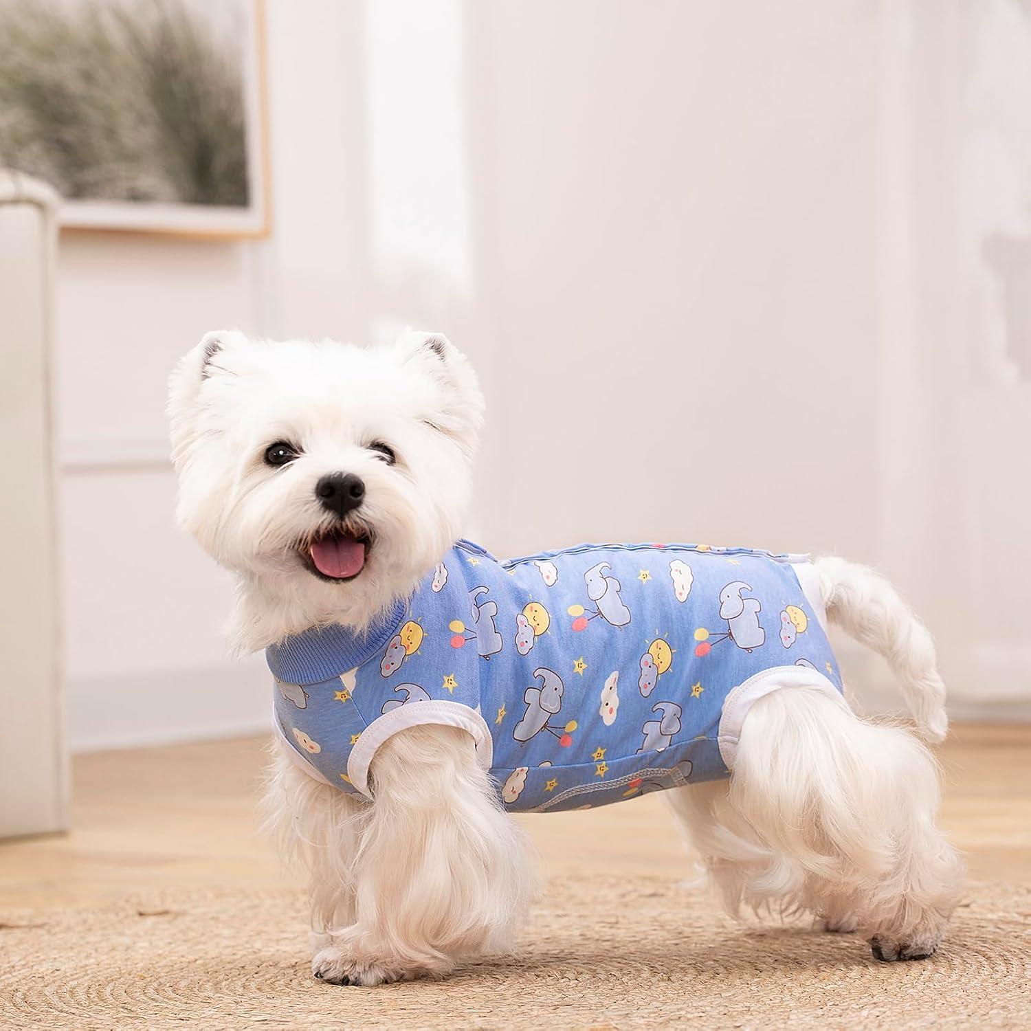 Traje de Recuperación para Perros y Gatos Miaododo Azul XS - 2 Paquetes