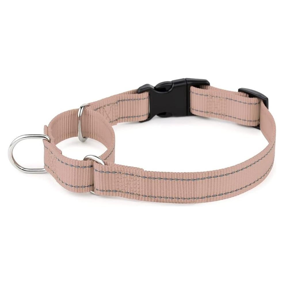 Plutus Pet Reflective Martingale Collar with Buckle - Durable and Adjustable Training Collar for No Pulling, Dog Choker Collar for Small Medium Large Dogs, Beige, XS