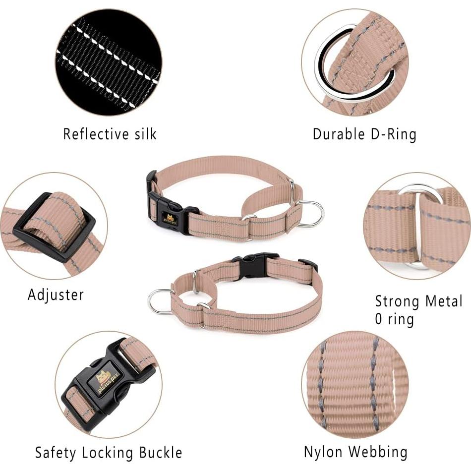 Plutus Pet Reflective Martingale Collar with Buckle - Durable and Adjustable Training Collar for No Pulling, Dog Choker Collar for Small Medium Large Dogs, Beige, XS