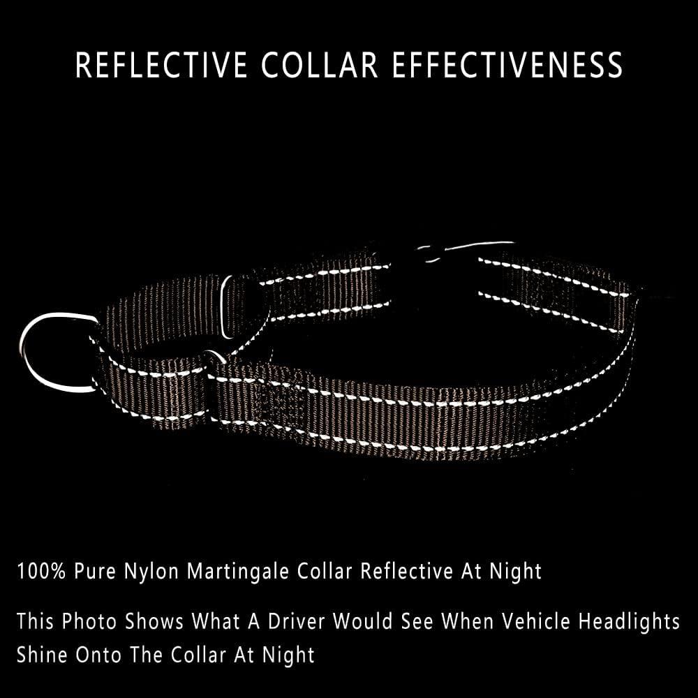 Plutus Pet Reflective Martingale Collar with Buckle - Durable and Adjustable Training Collar for No Pulling, Dog Choker Collar for Small Medium Large Dogs, Beige, XS