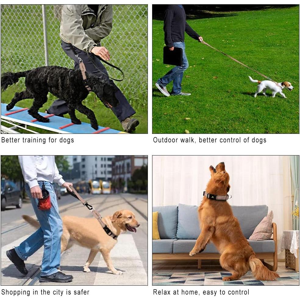 Plutus Pet Reflective Martingale Collar with Buckle - Durable and Adjustable Training Collar for No Pulling, Dog Choker Collar for Small Medium Large Dogs, Beige, XS