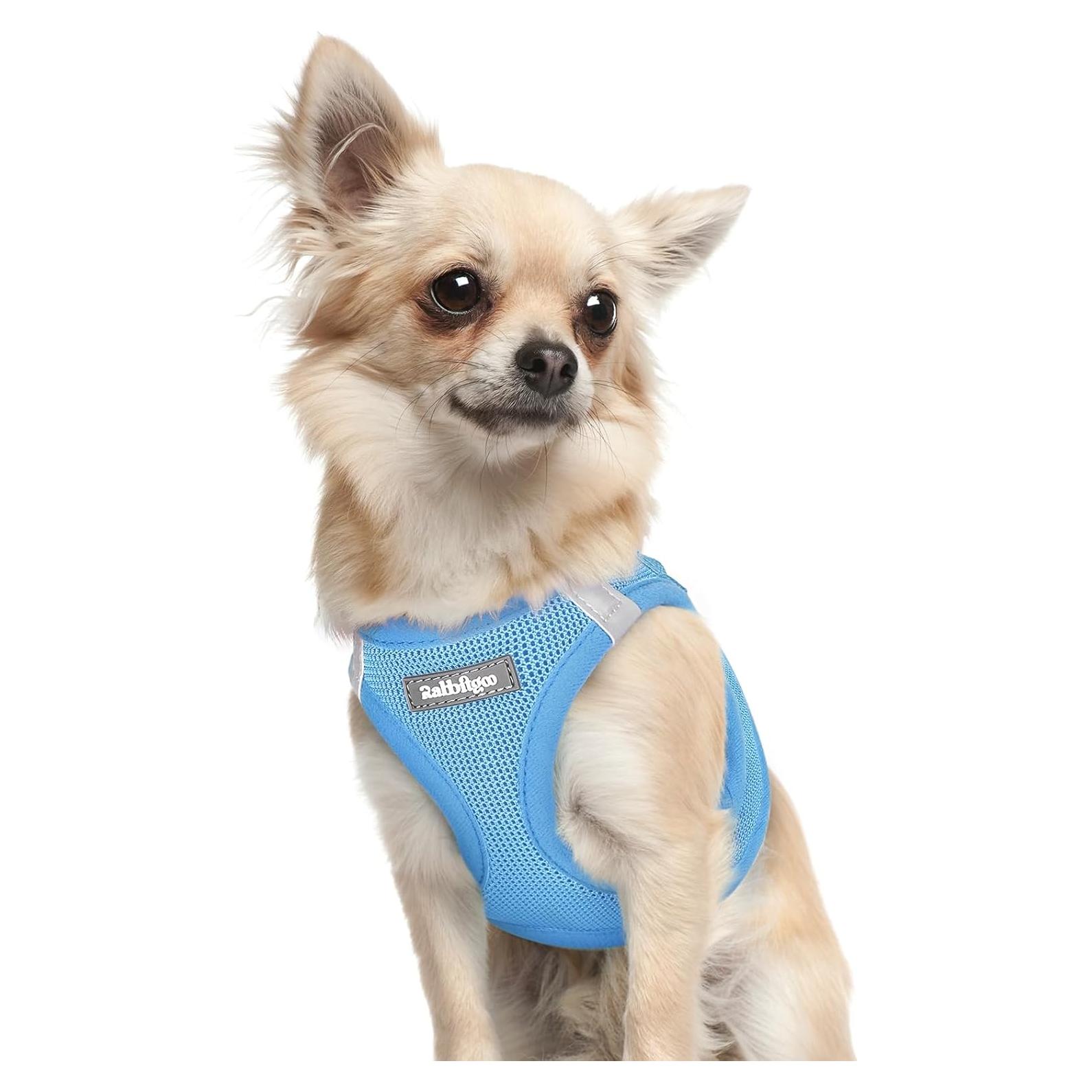 Arnés para Perros Pequeños Rabbitgoo XXXS Azul Transpirable