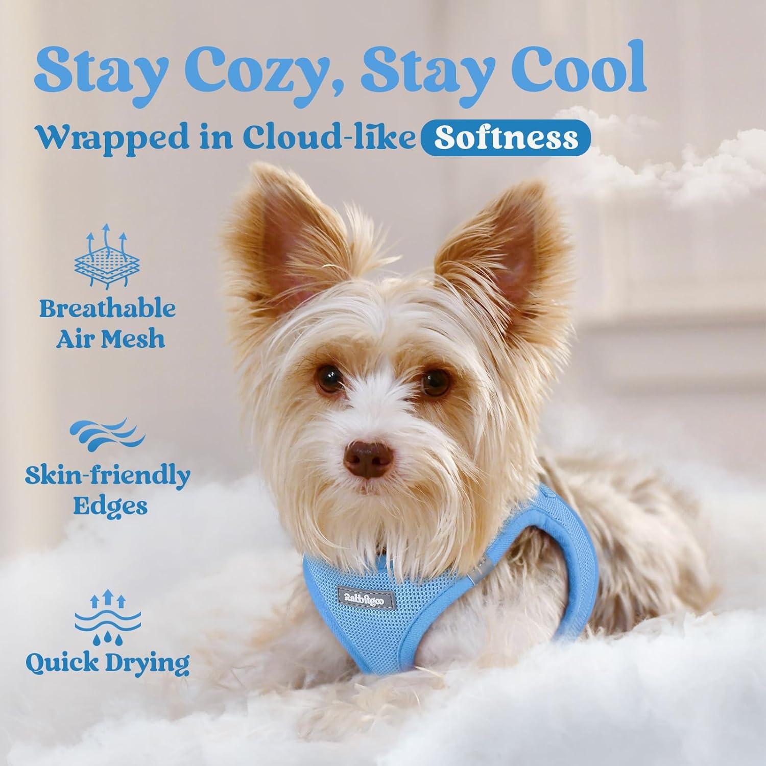 Arnés para Perros Pequeños Rabbitgoo XXXS Azul Transpirable