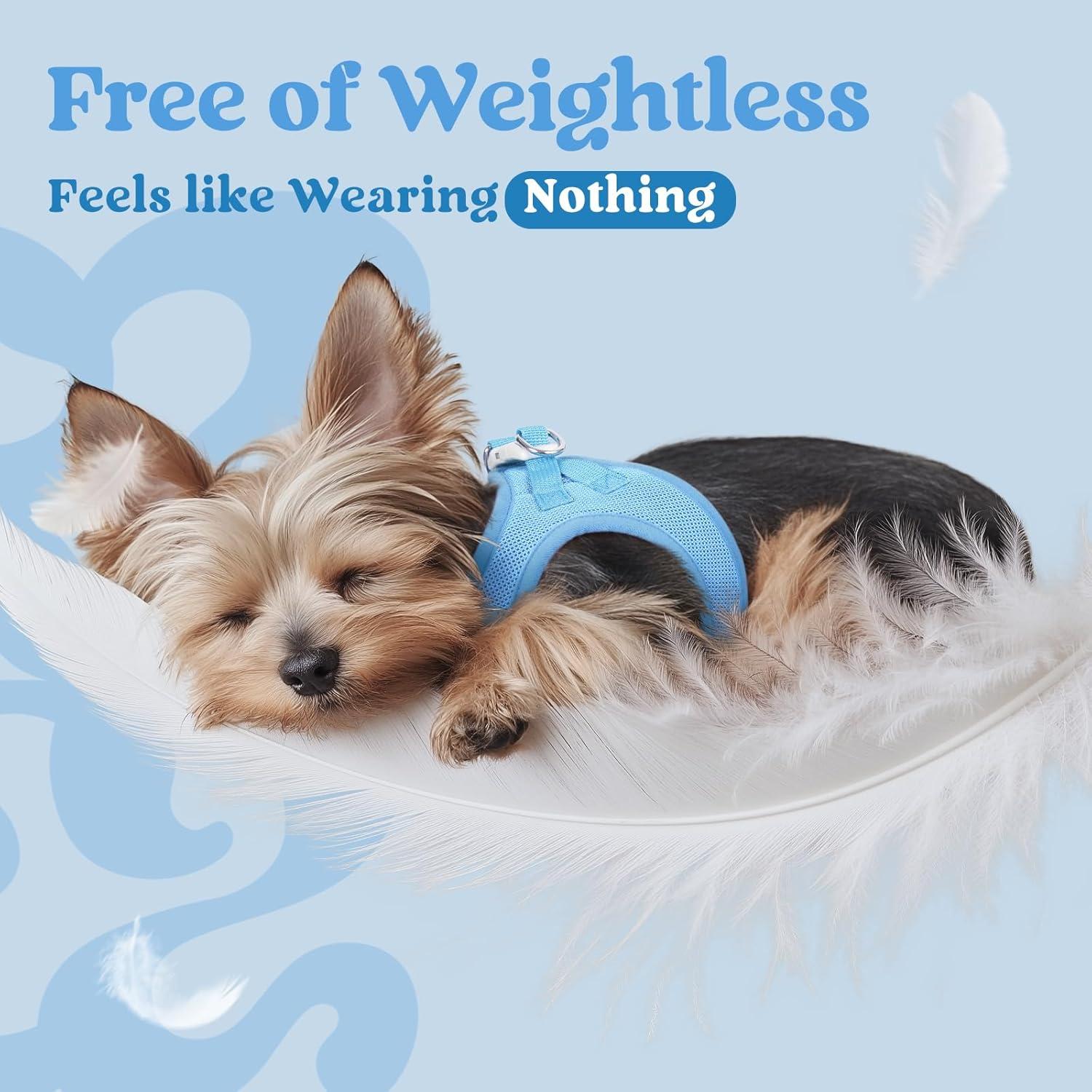 Arnés para Perros Pequeños Rabbitgoo XXXS Azul Transpirable