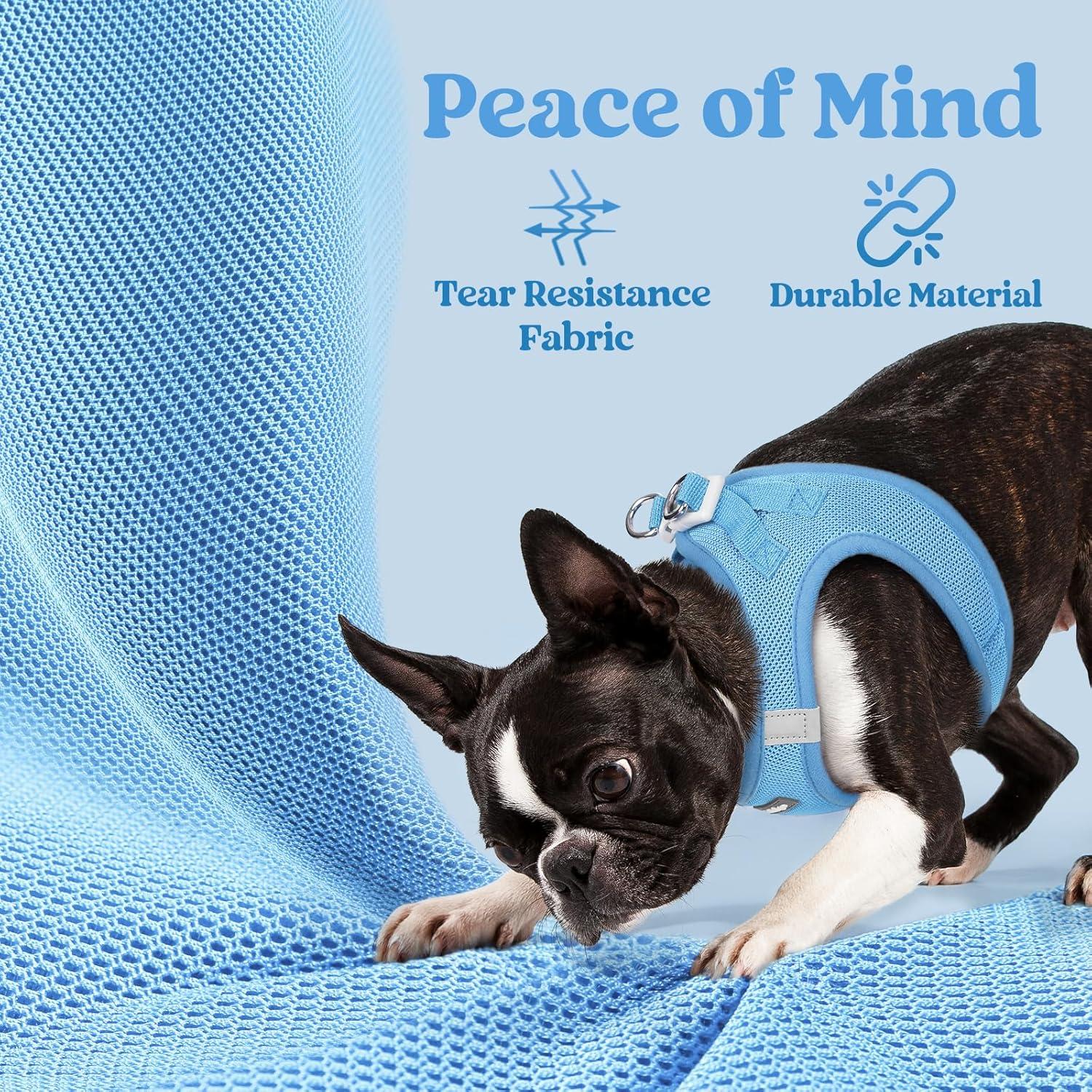 Arnés para Perros Pequeños Rabbitgoo XXXS Azul Transpirable