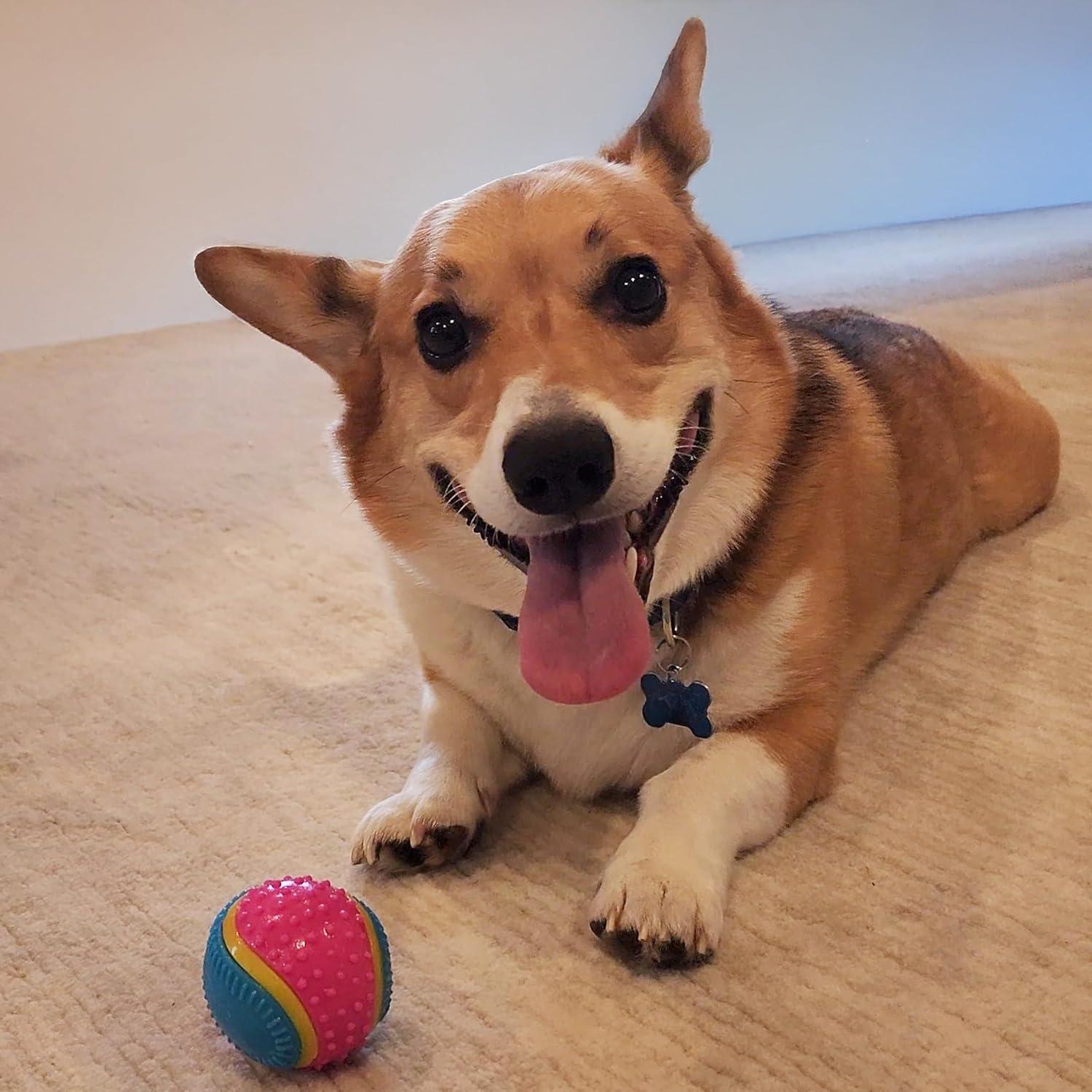 Bola Sensorial para Perros SPOT 6.35 cm - Goma TPR, Aroma a Carne