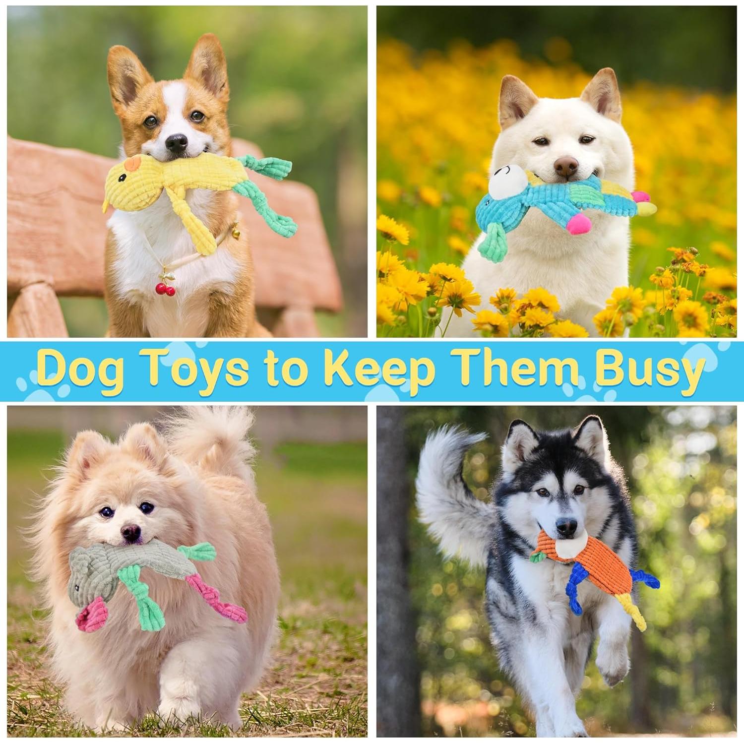 5 Juguetes para Perros Squeaky LECHONG - Diversión para Cachorros