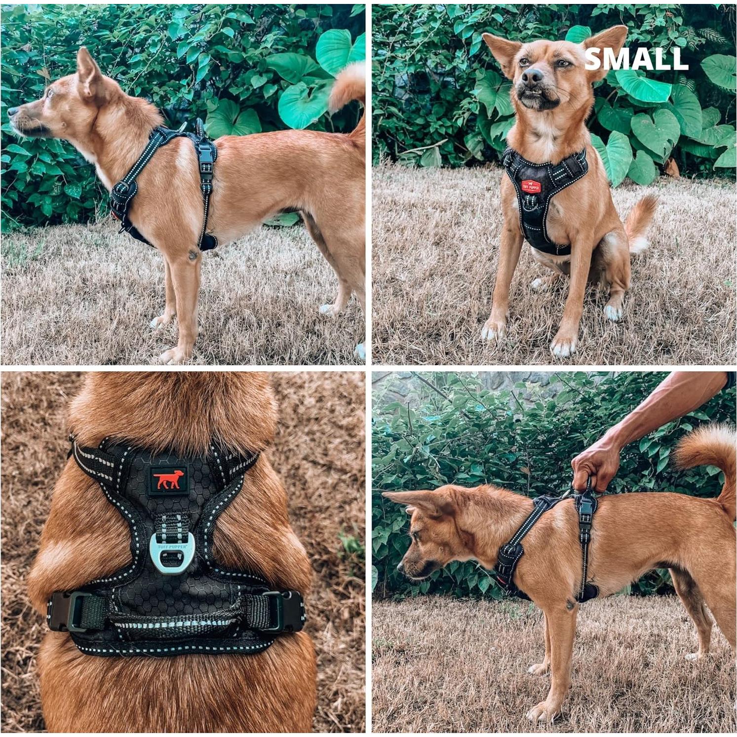 Arnés para Perros Tuff Pupper Pequeño Negro Acolchado Reflectante