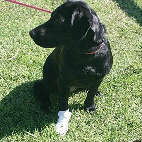 Botas de Recuperación para Perros Nooby's XS - Protección Heridas