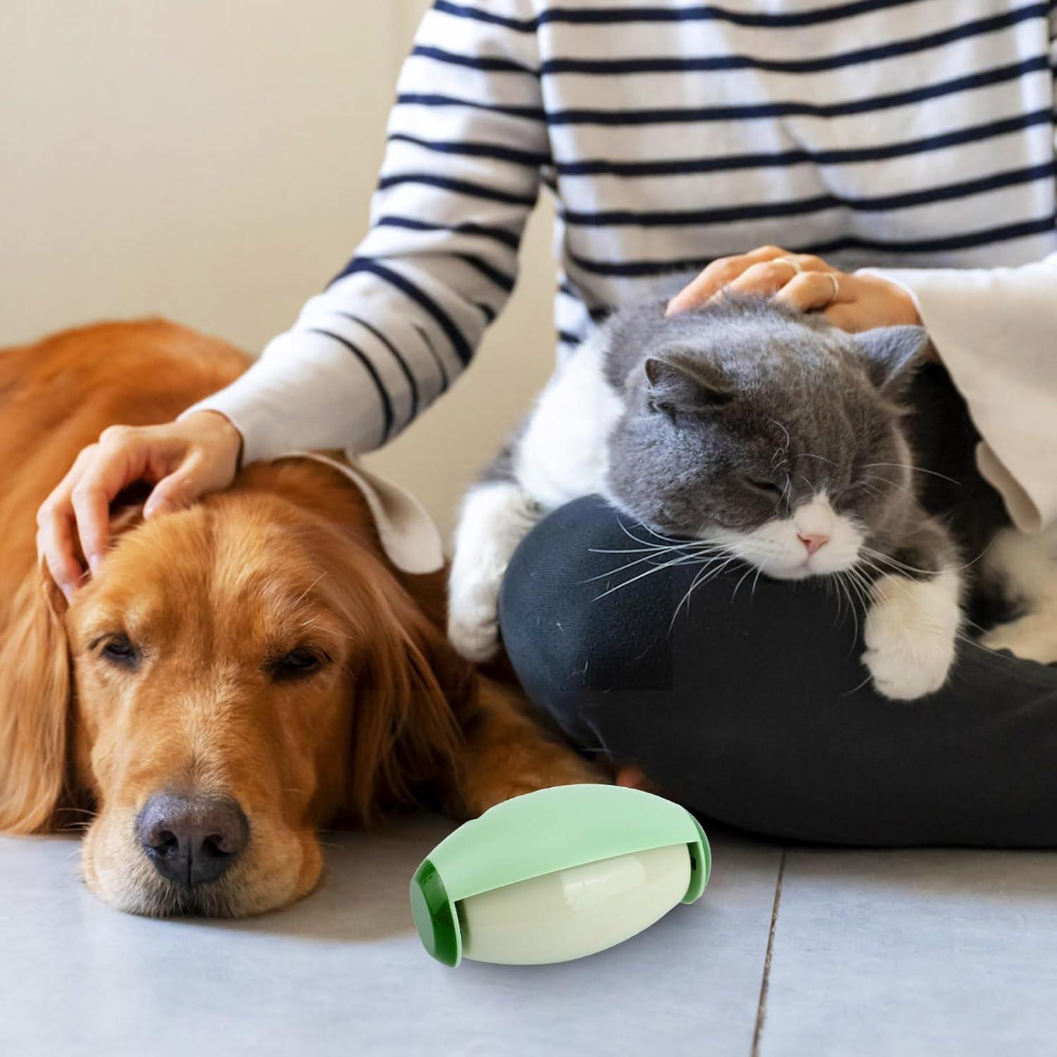 Rodillo de Pelusa Reutilizable Gosknor 2 Piezas Verde 10.2x6.5cm