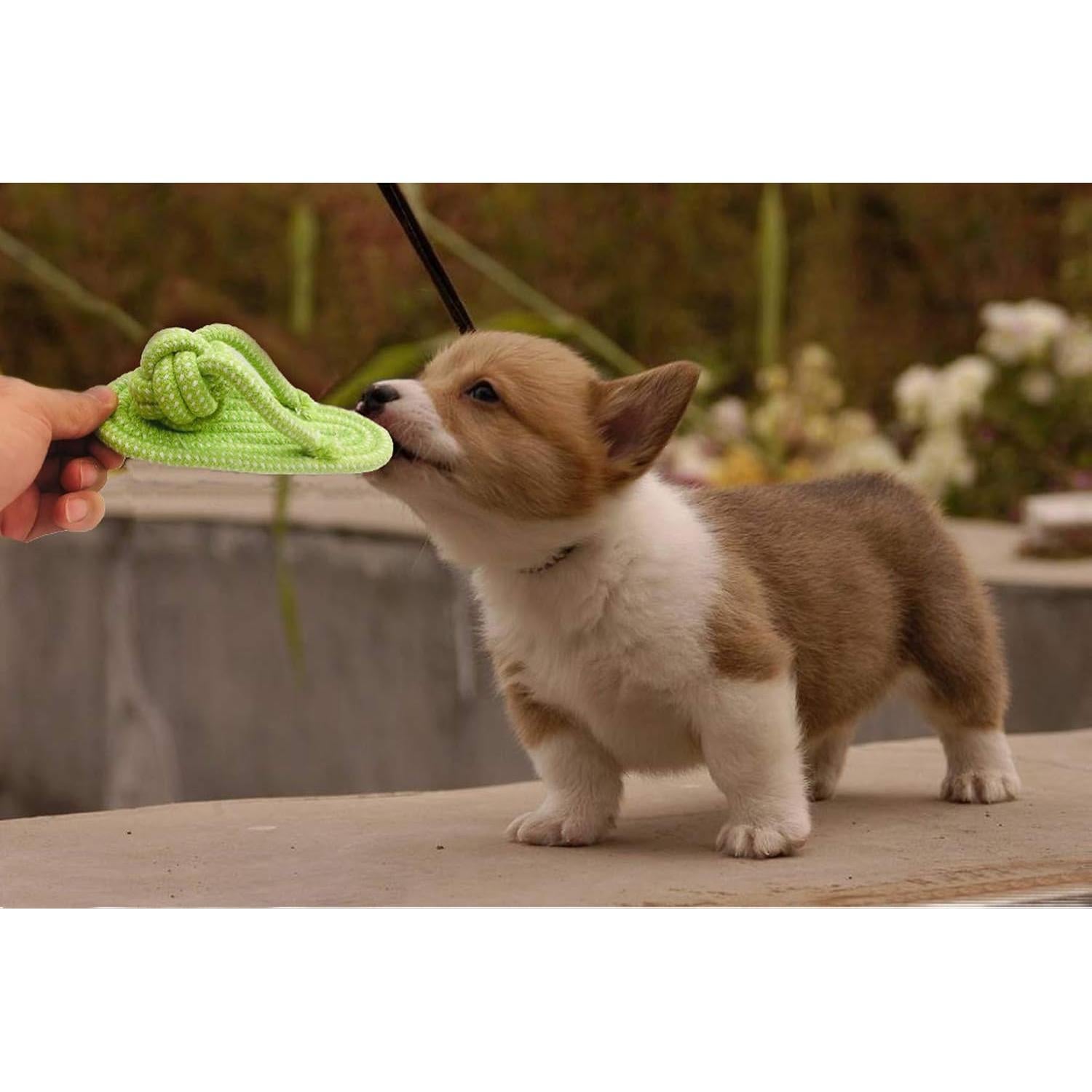 Juguete Interactivo para Perros Sunglow Cuerda y Bola 30cm