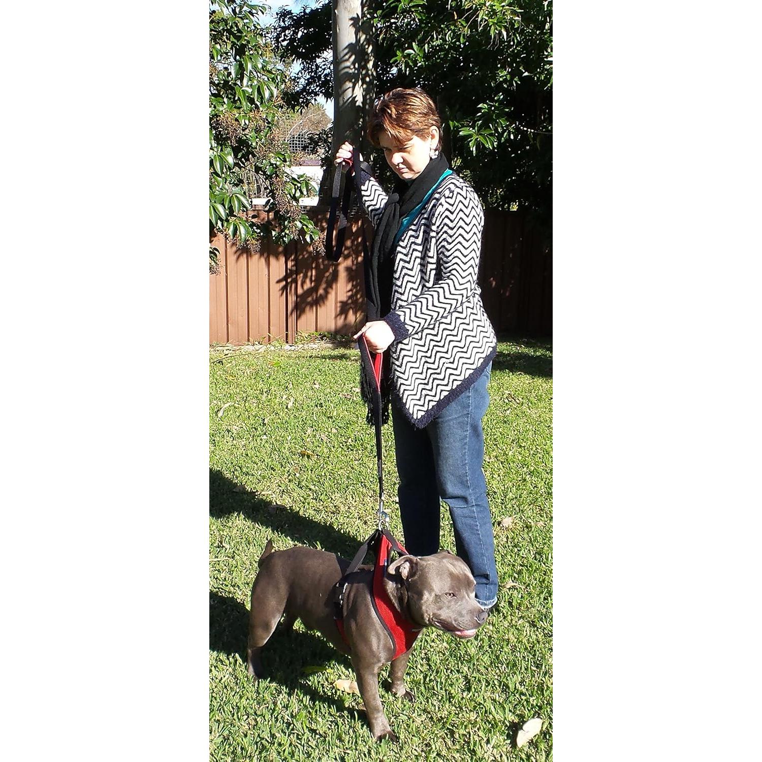 Correa para Perros Primal Pet Gear 1.83m Doble Mango Acolchado