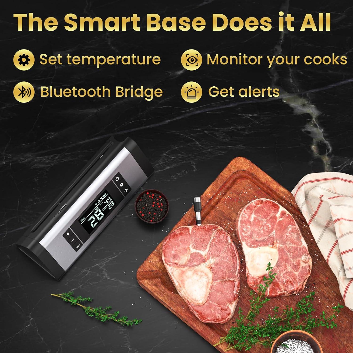 Termómetro de Carne Inalámbrico TiInsta con App y Sonda Única