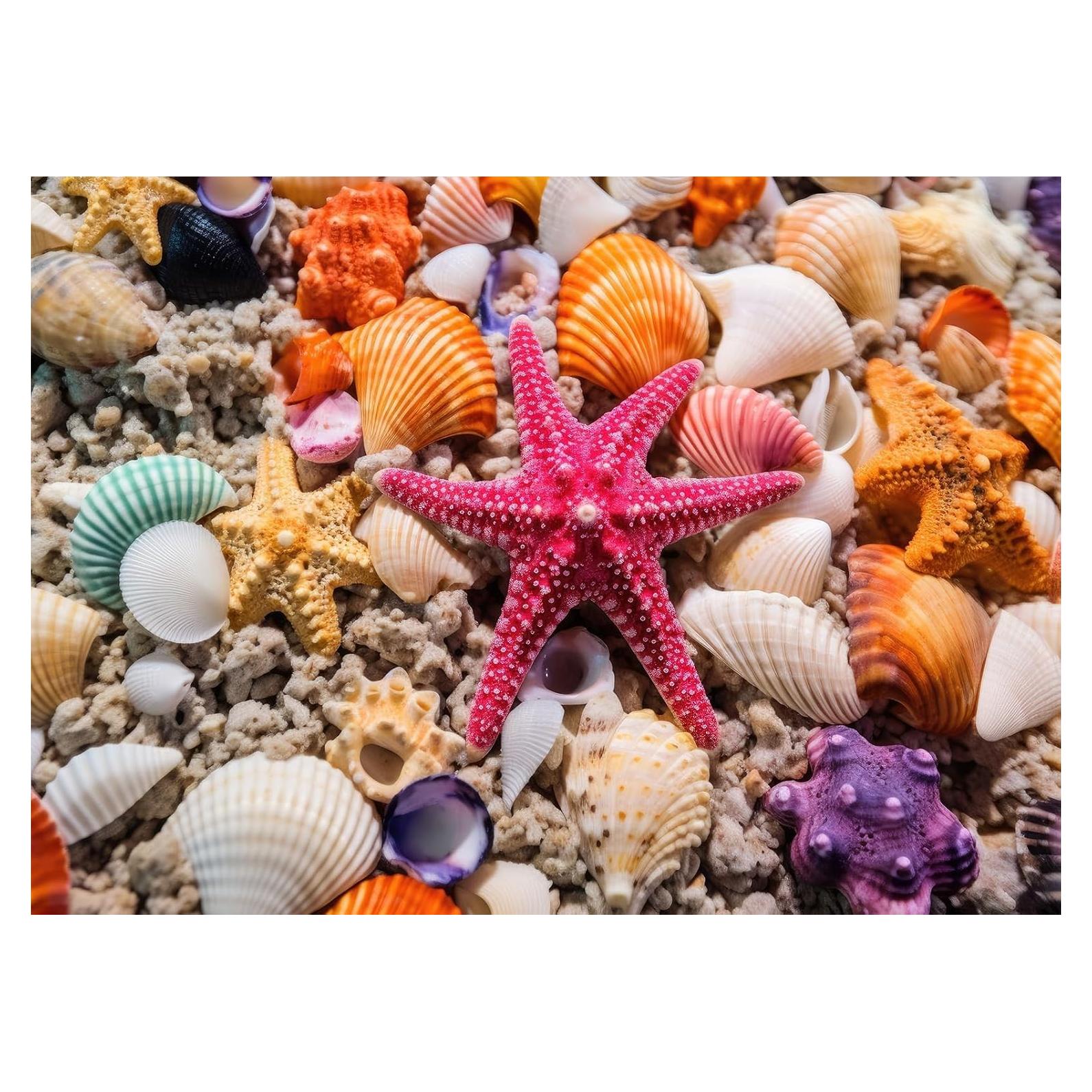 HUADADA Jigsaw Puzzles for Adults 1000 Pieces, Beach Shells Interlock Perfectly Letter on Back No Dust, Home Decor Birthday Party Toy for Men Women Elders Seniors (27.5"x19.6"), 1:1 Poster