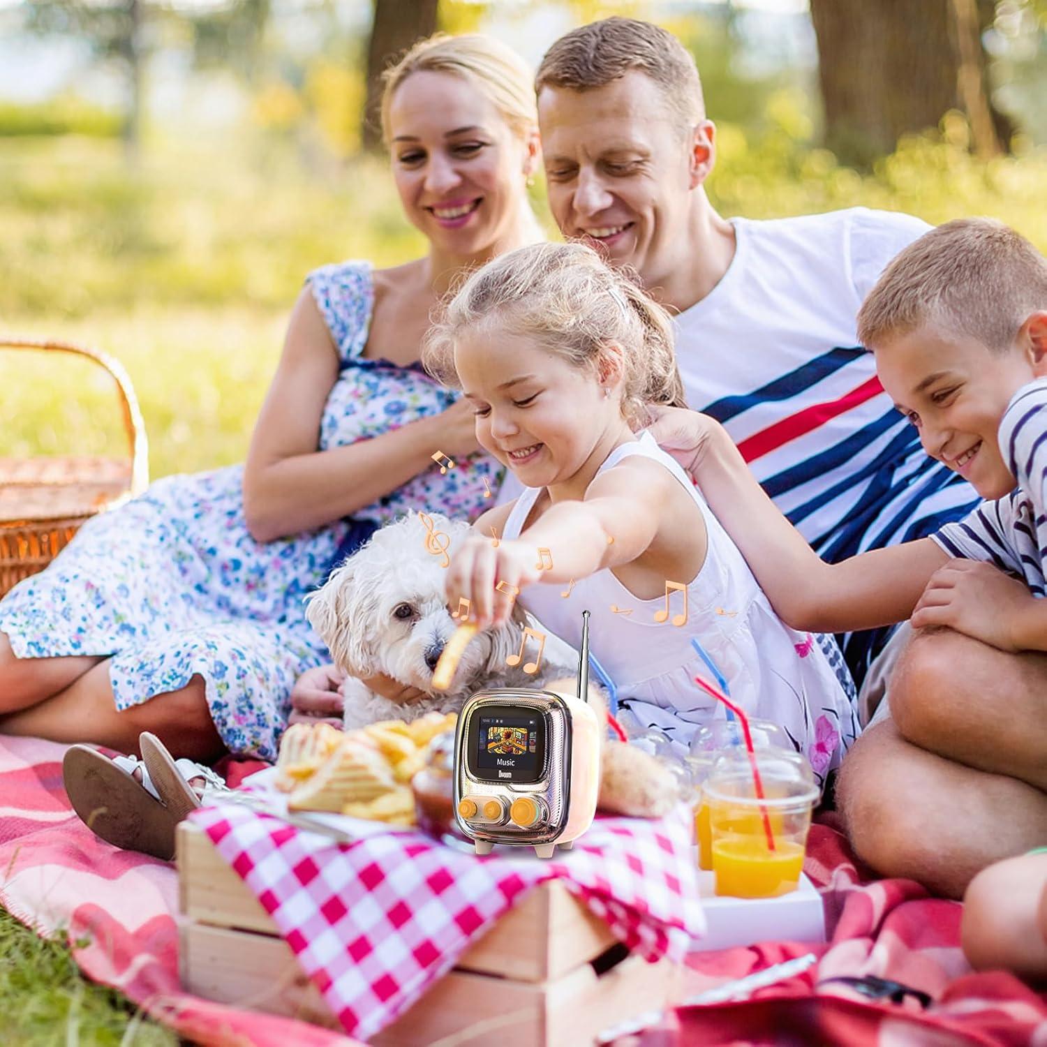 Divoom Tiivoo-2 Altavoz Bluetooth Retro con Radio FM