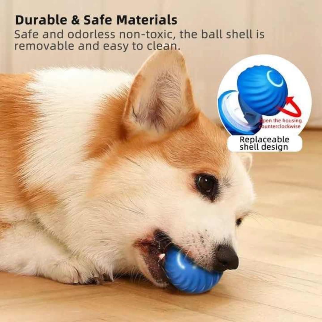 Bola Interactiva para Perros Algani 5.6 cm Azul Juguete Eléctrico