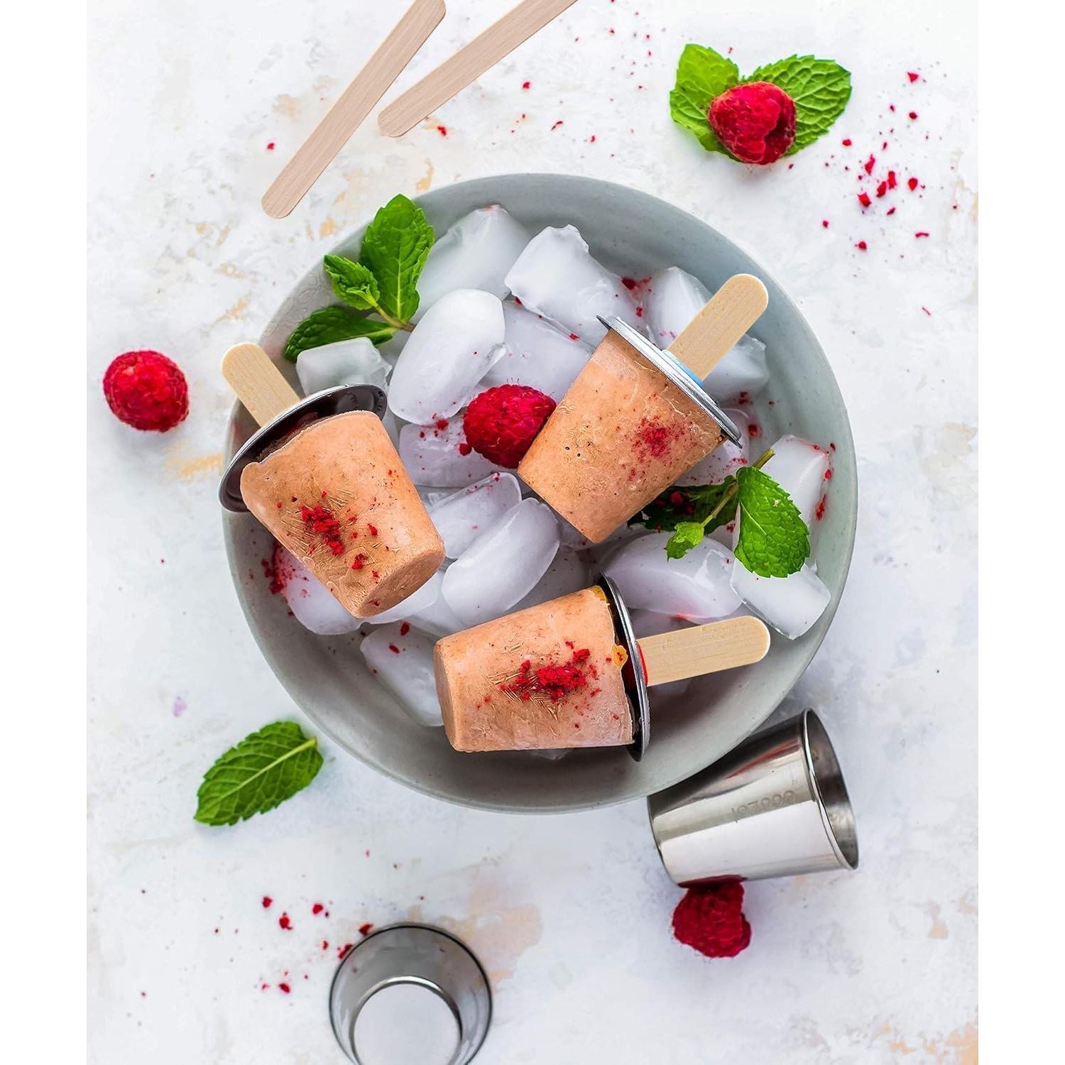 Moldes de Paletas Ecológicos Ecozoi - 6 Mini Redondos de Acero Inoxidable