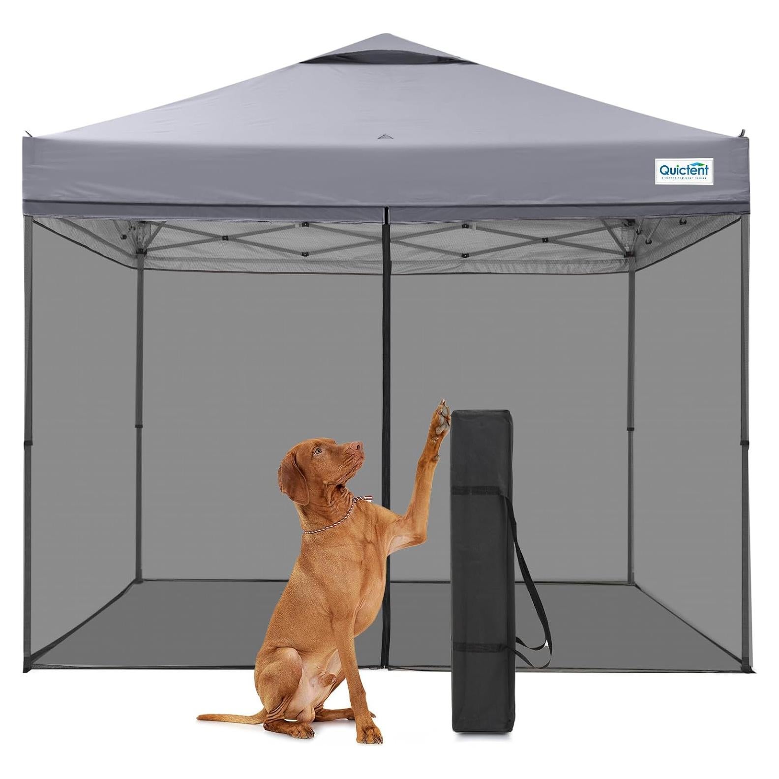 Quictent 10x10 Pop Up Screened Canopy Tent, Instant Setup Gazebo for 1 Person with Netting, Portable & Compact, Waterproof & UV Protection, Ideal for Camping, Beach, Parties, and Outdoor Events