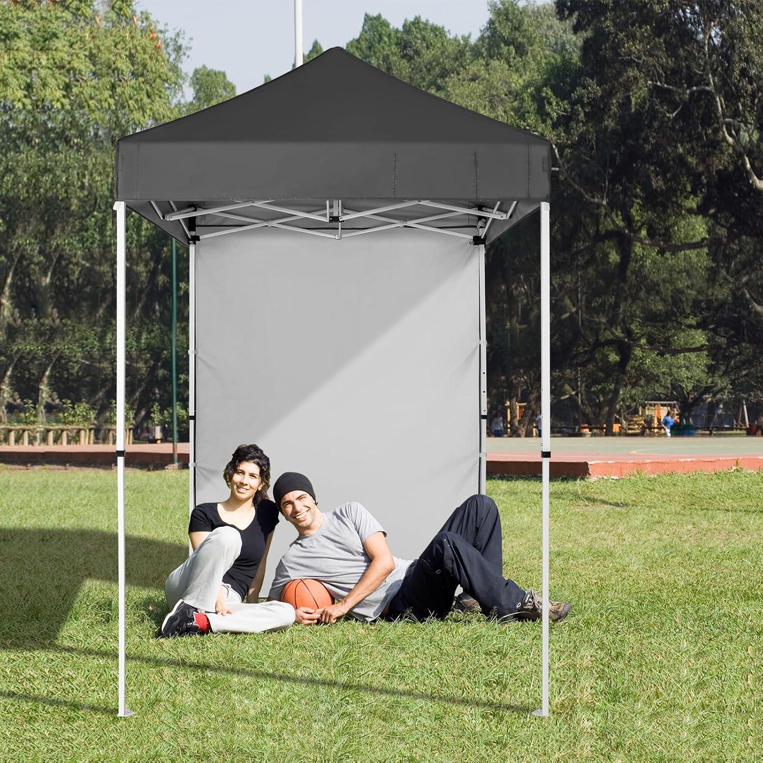 Carpa Plegable EAGLE PEAK 150x150 cm Gris con Pared Solar