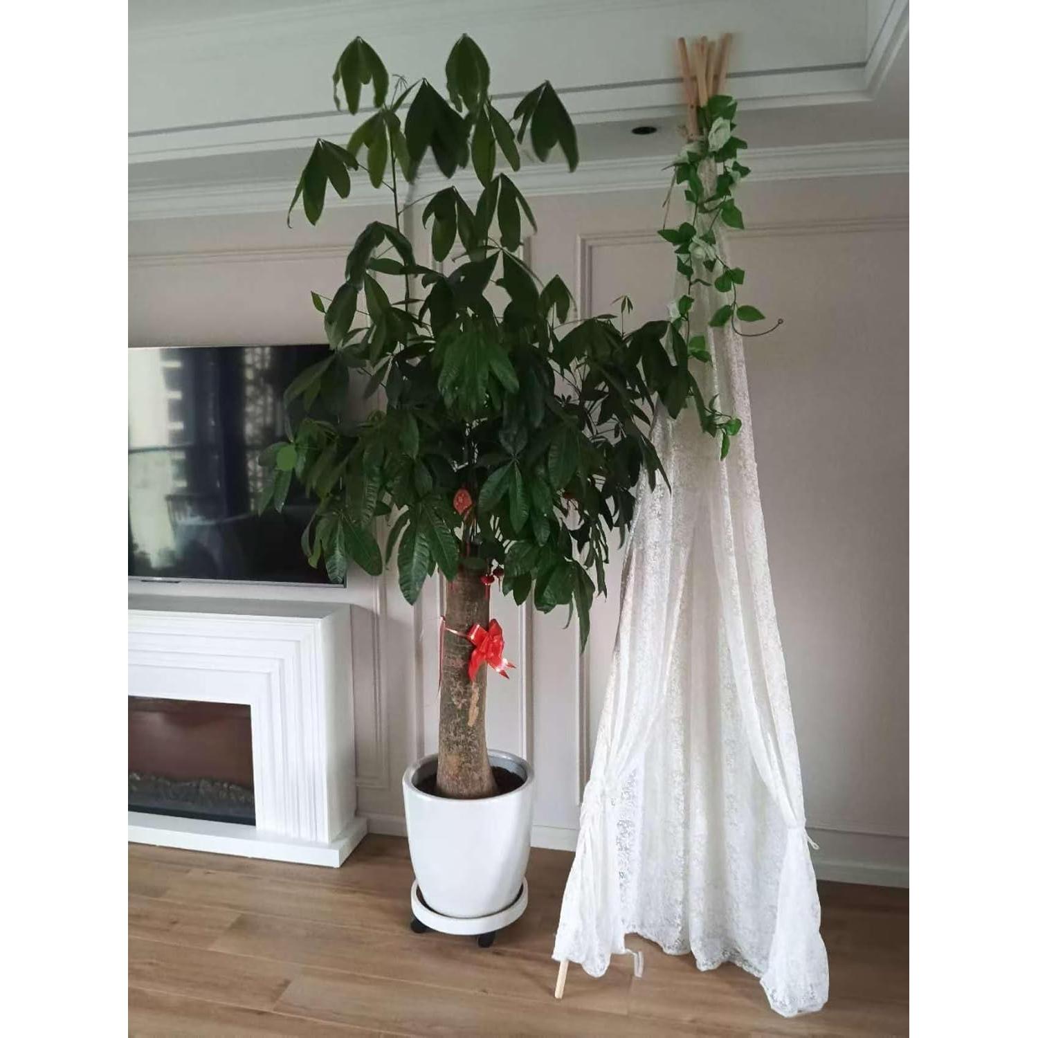 Tienda Teepee Grande ABULU de Encaje Blanco 220 cm para Adultos