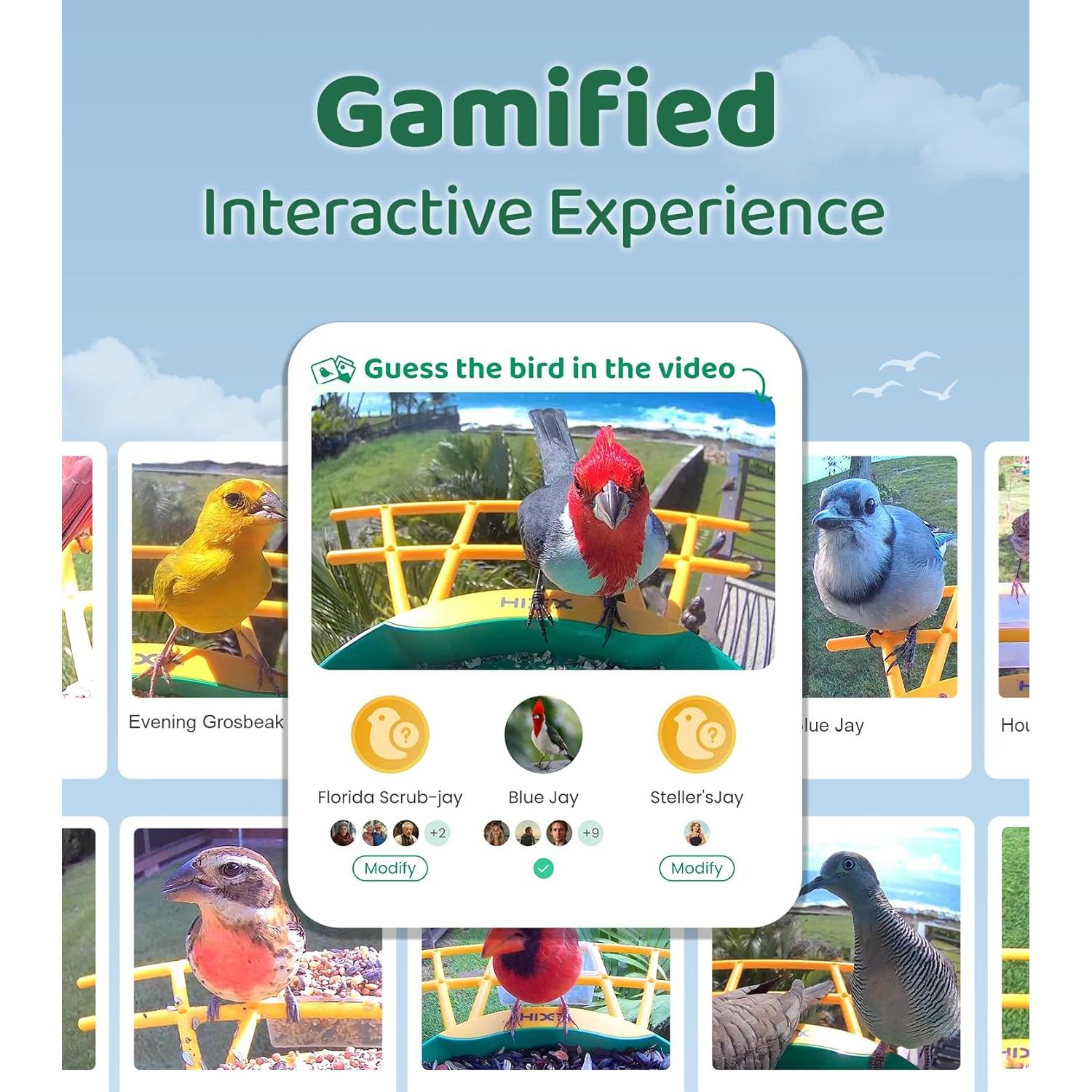 Alimentador de Aves HIXX HiCIRCLE Solar con Cámara HD