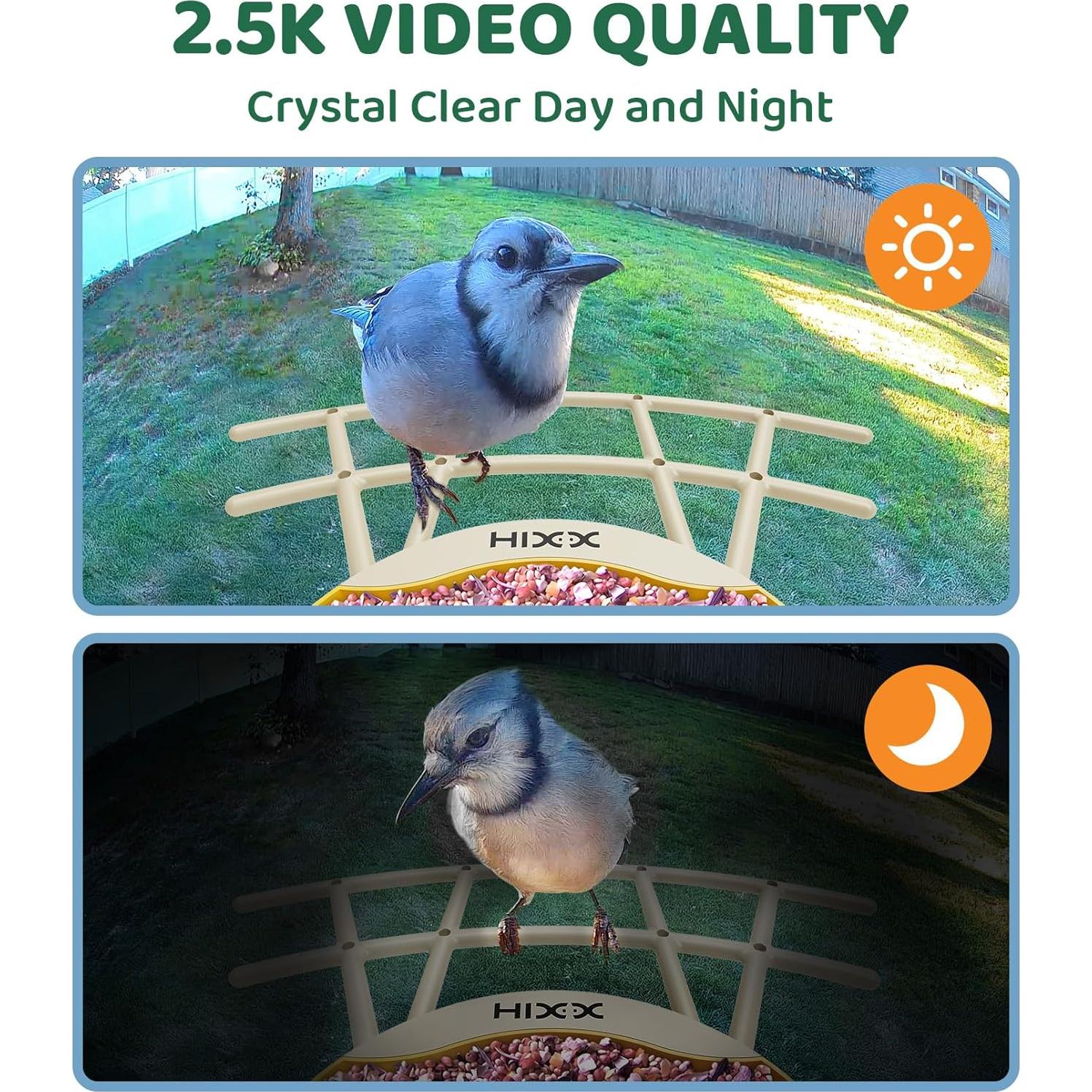 Alimentador de Aves HIXX HiCIRCLE Solar con Cámara HD