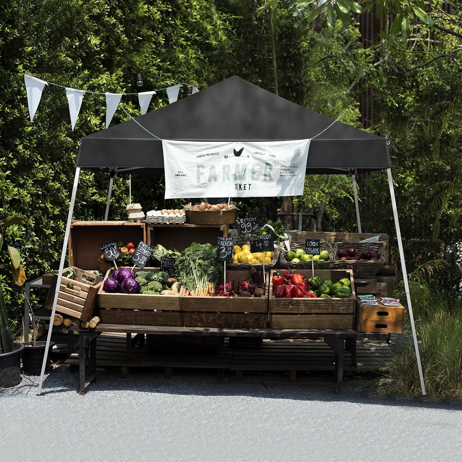 Dosel Plegable Shyneer 3x3m Impermeable Ajustable para Camping