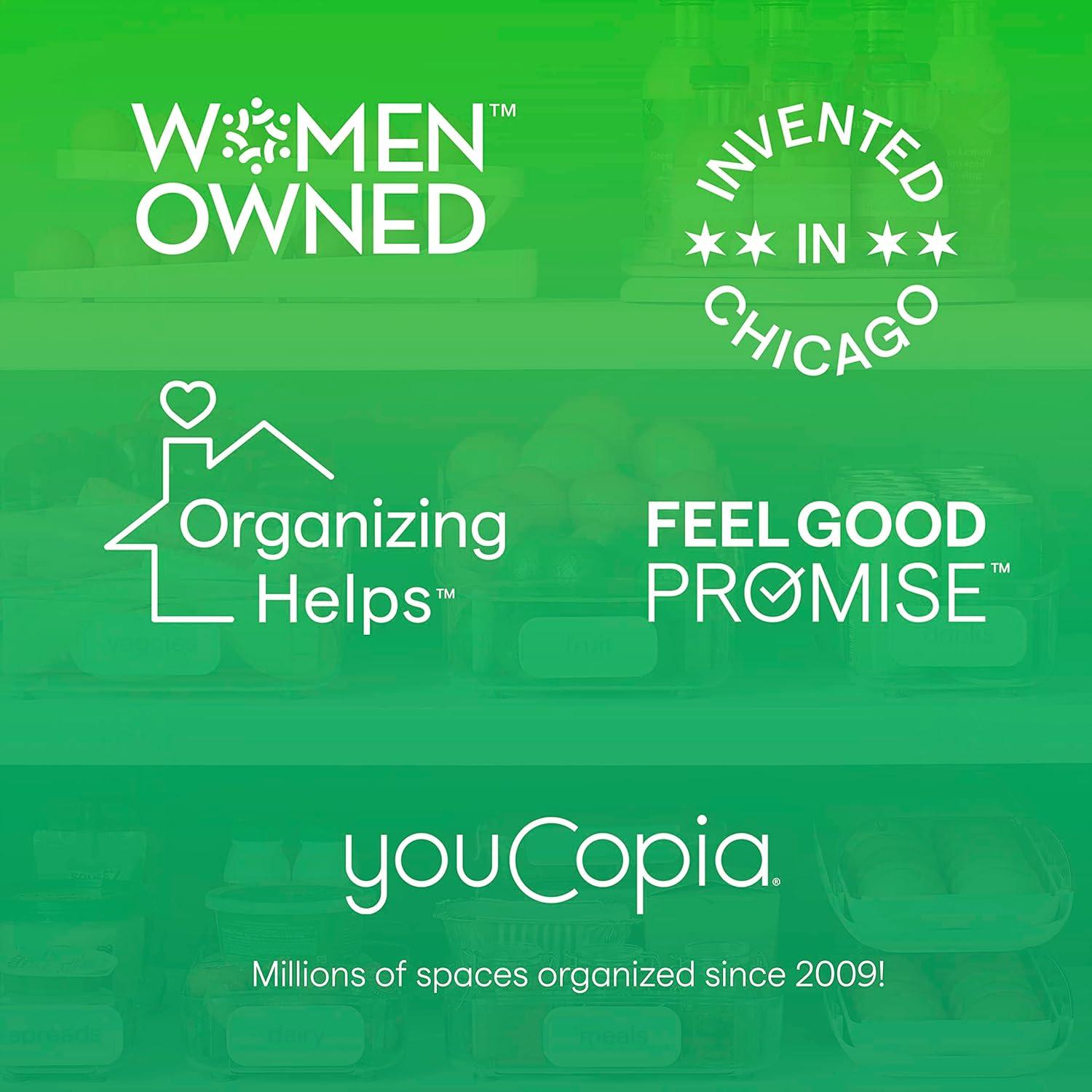 Cajón Organizador de Refrigerador YouCopia 38.35x15.49x14.22 cm