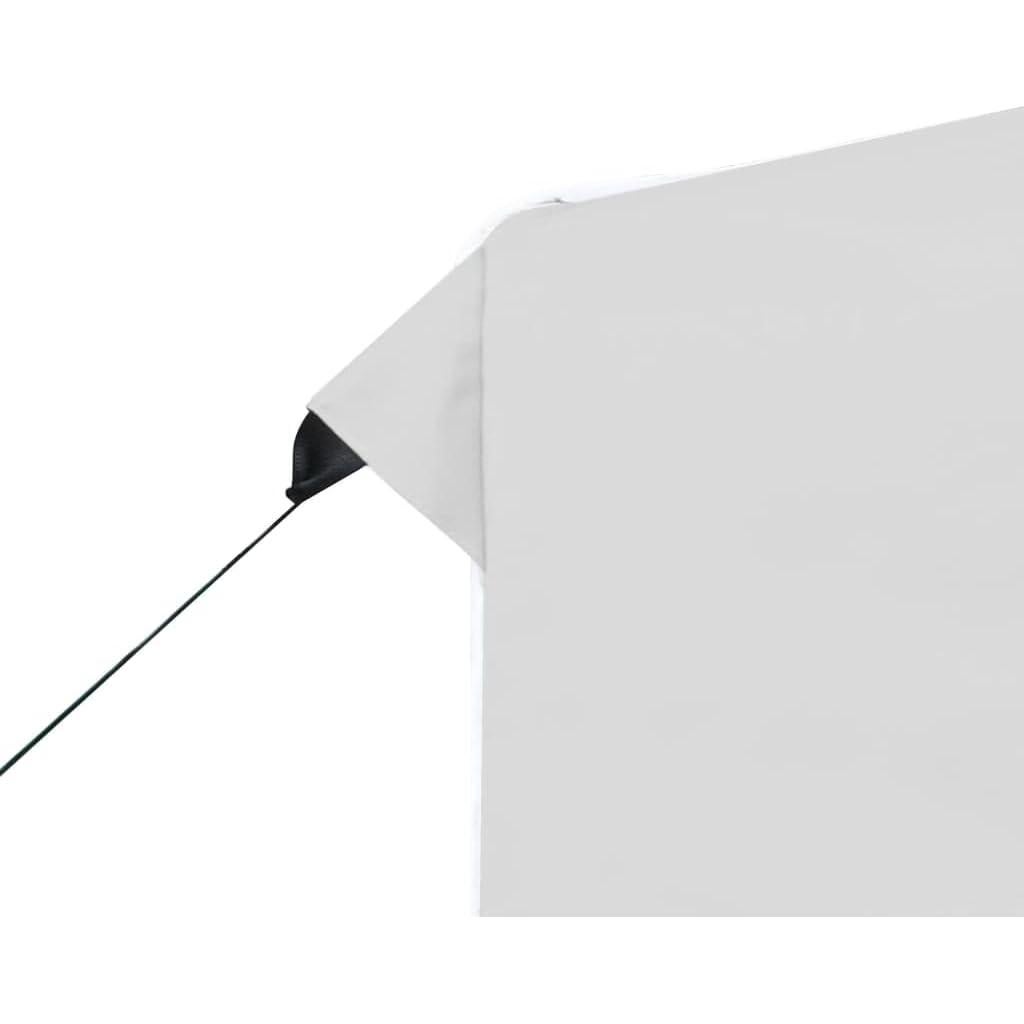 Carpa Plegable Grande MNISDFL 3x3m Blanca para Eventos