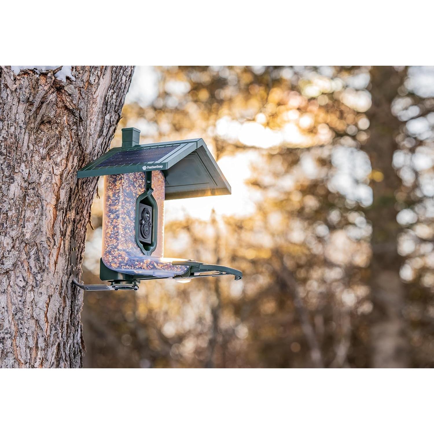 Comedero Inteligente para Aves FeatherSnap - Solar y Wi-Fi