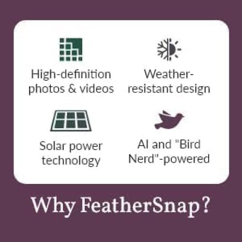 Comedero Inteligente para Aves FeatherSnap - Solar y Wi-Fi