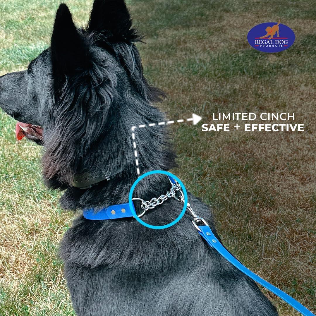 Collar Martingale Azul Regal Dog para Perros Pequeños - Biothane Impermeable