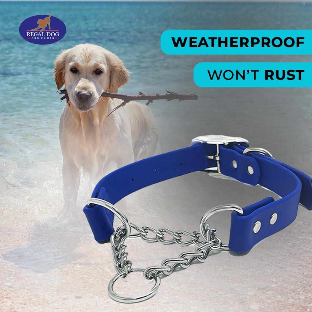 Collar Martingale Azul Regal Dog para Perros Pequeños - Biothane Impermeable