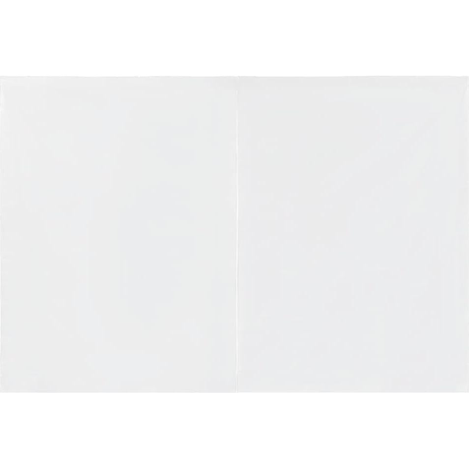 Pared Lateral para Carpa de Fiesta MNISDFL 2 Piezas PE Blanca