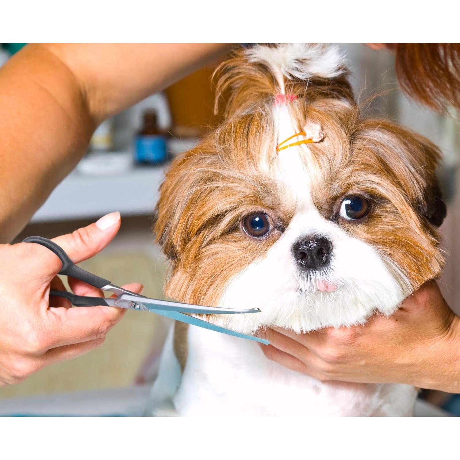 Set de Tijeras de Aseo para Mascotas Pets First - 2 Piezas