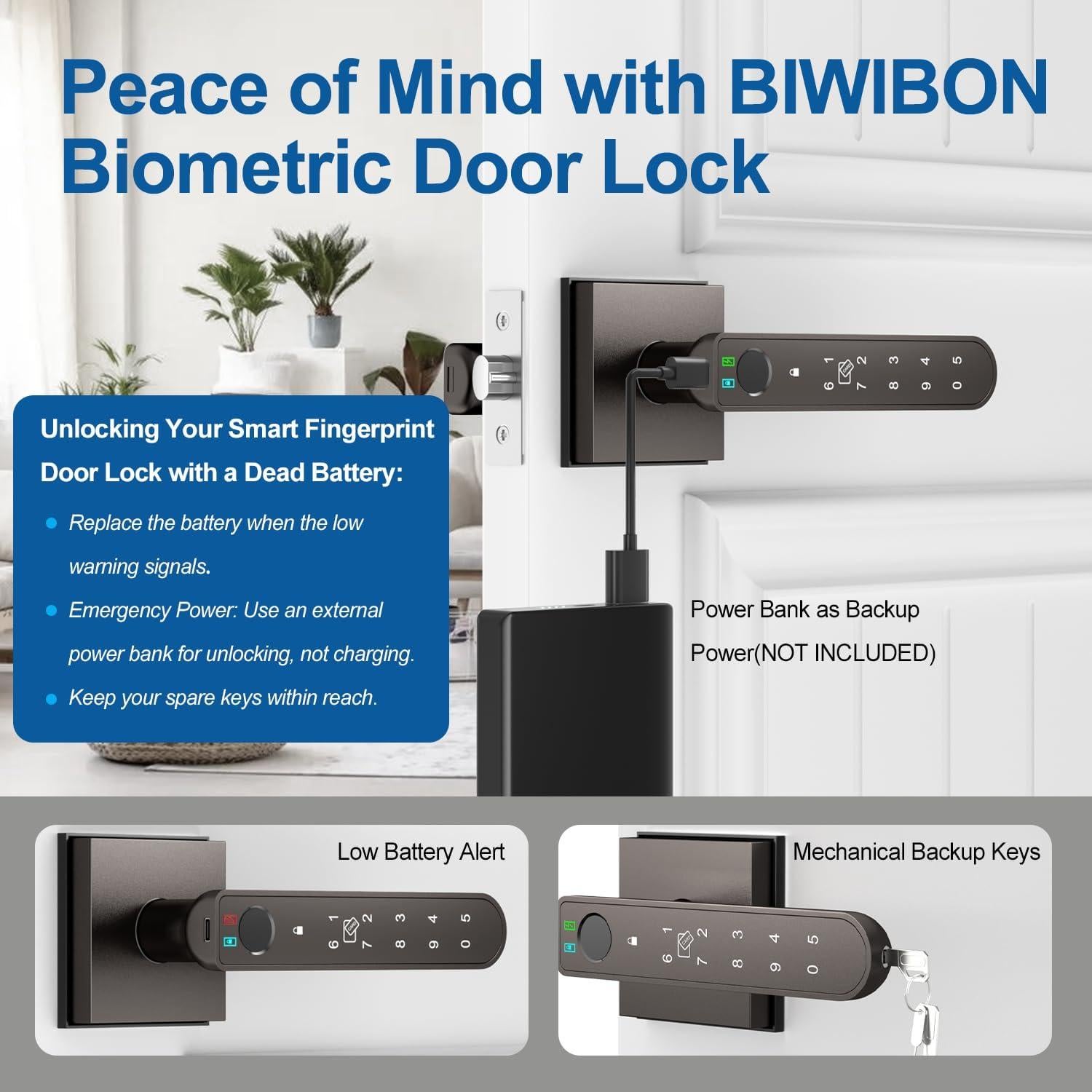 Cerradura Biométrica Inteligente BIWIBON BCA-02 con App y Huella Dactilar