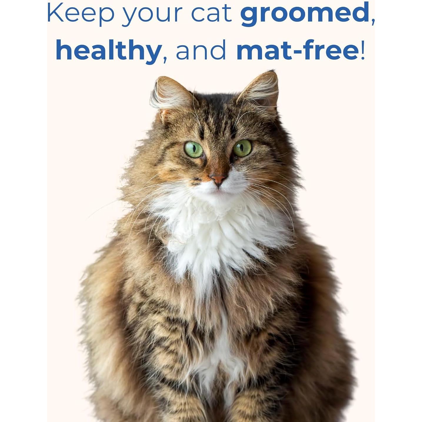 Juego de Tijeras de Acicalar Freshly Bailey - 2 Piezas para Perros y Gatos