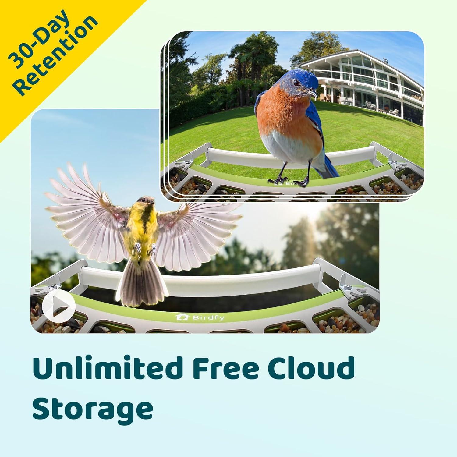 Comedero Inteligente Birdfy con Cámara HD Solar 2.49kg